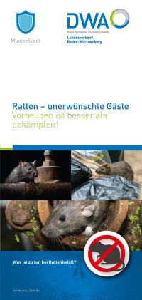 Cover des Informations-Flyer Ratten - unerwünschte Gäste. Vorbeugen ist besser als bekämpfen.