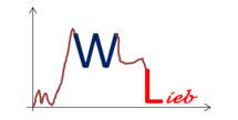 Logo der Firma Wolfgang Lieb Ingenieurberatung