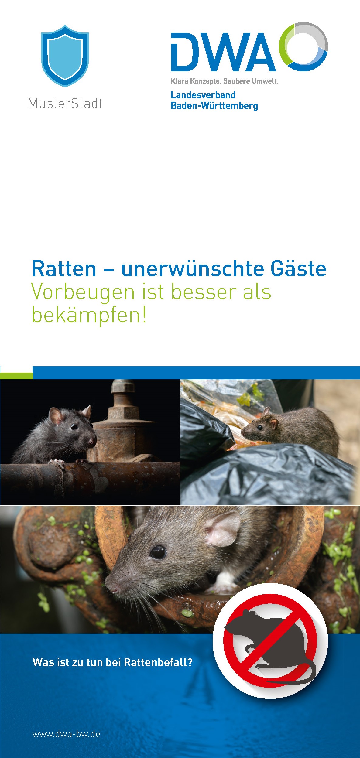 Cover des Informations-Flyer Ratten - unerwünschte Gäste. Vorbeugen ist besser als bekämpfen.